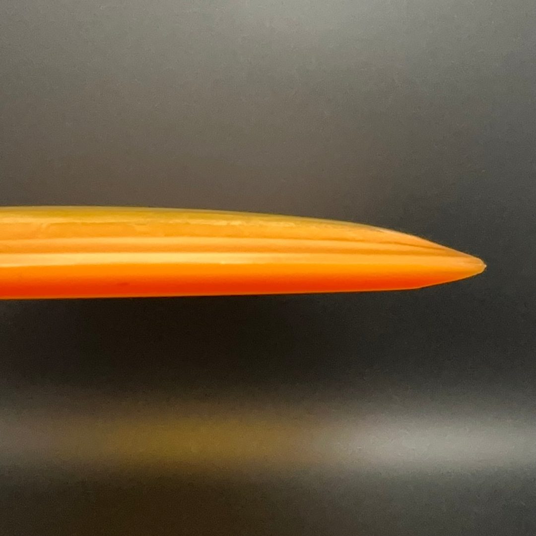 Egg Shell Pterodactyl - 2024 Run Dino Discs