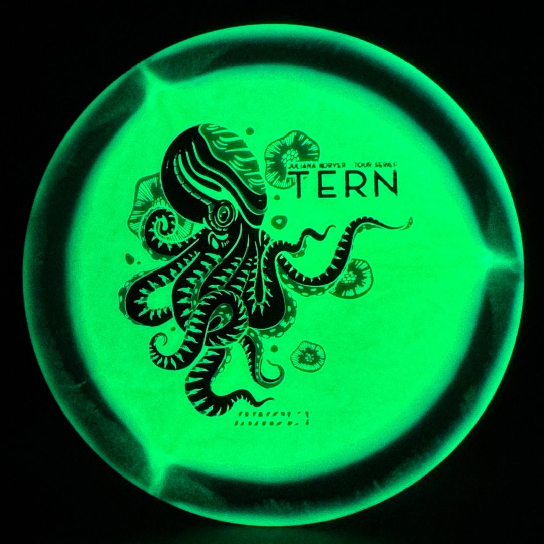 Proto Glow Halo Star Tern - 2026 Juliana Korver Tour Series Innova