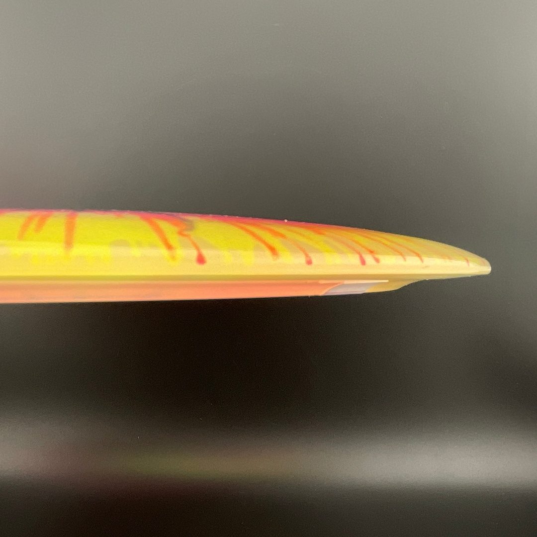 I-Dye Champion Tern Innova