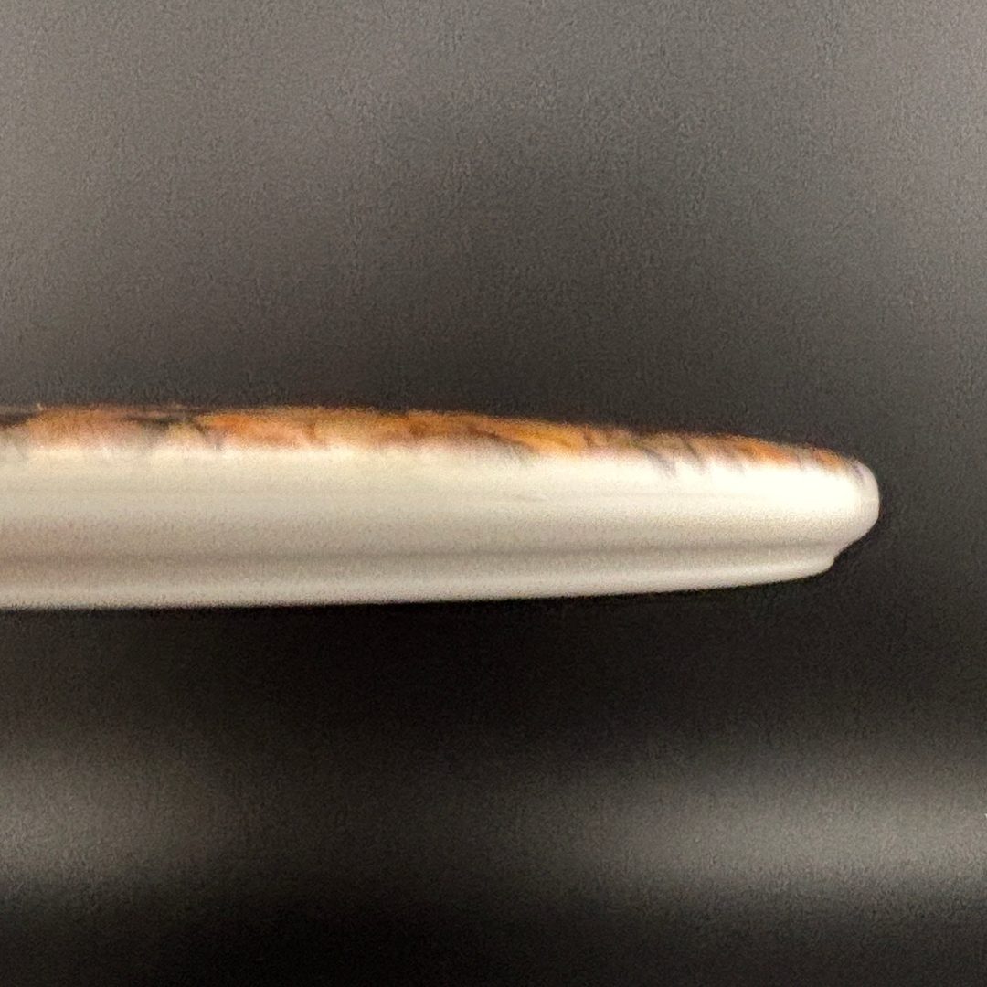 Fuzion Jury - DyeMax - Wet Leaves - April Fools Dynamic Discs