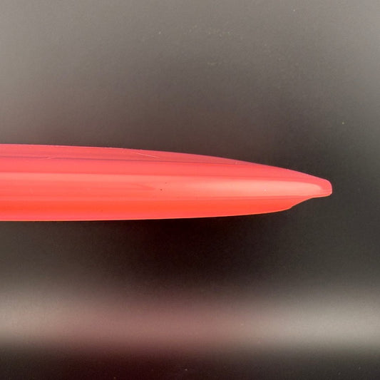 Champion Gazelle - Artist's Corner Innova