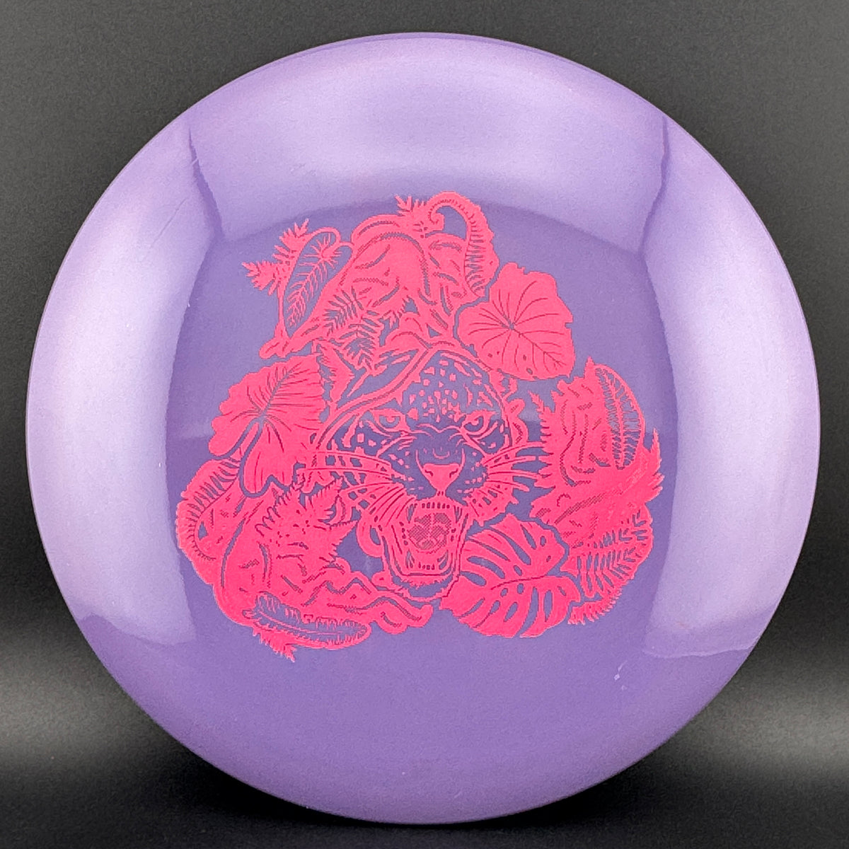 Echo Star Leopard3 Innova