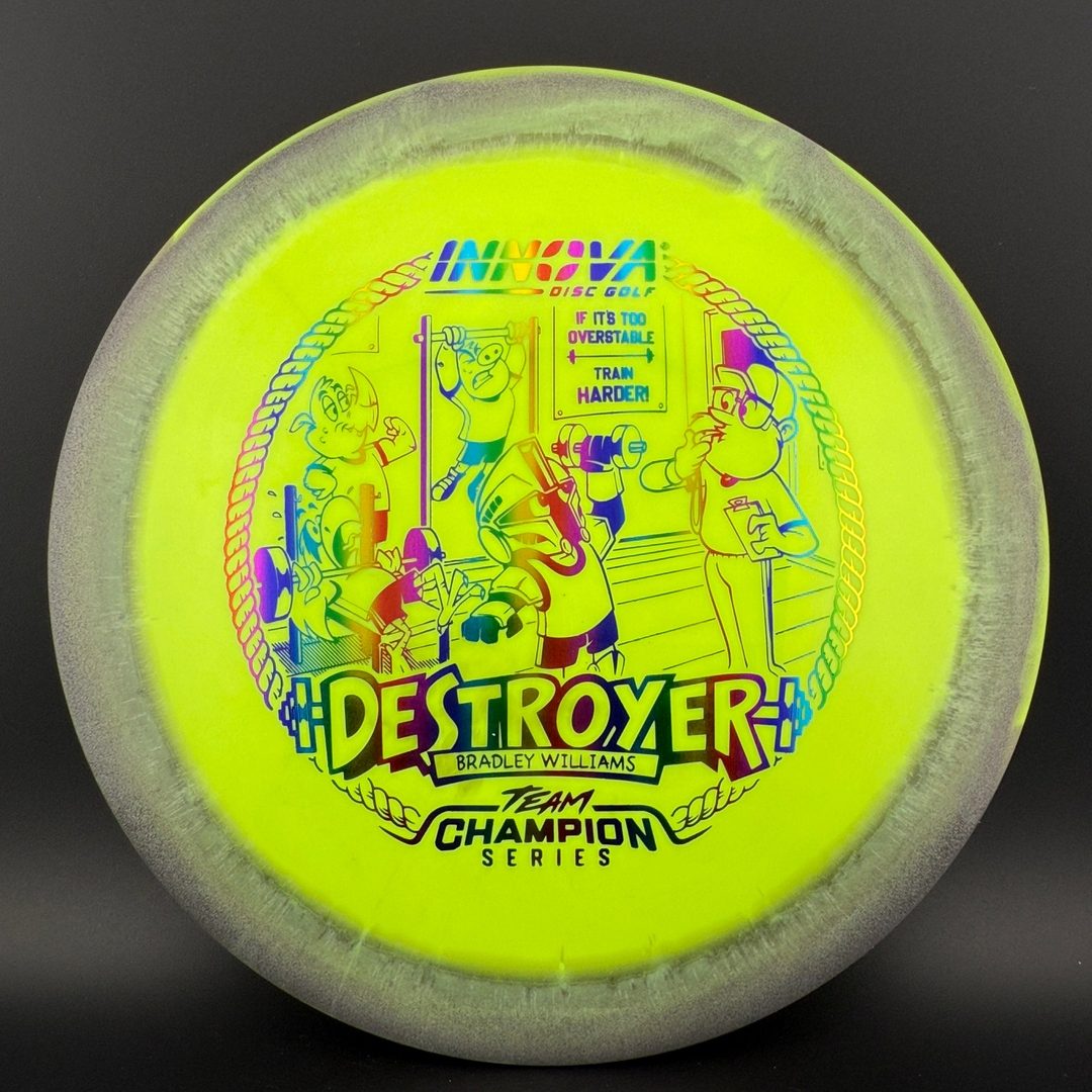 Halo Star Destroyer - Baby Destroyer - PDGA Masters Bradley Williams Innova