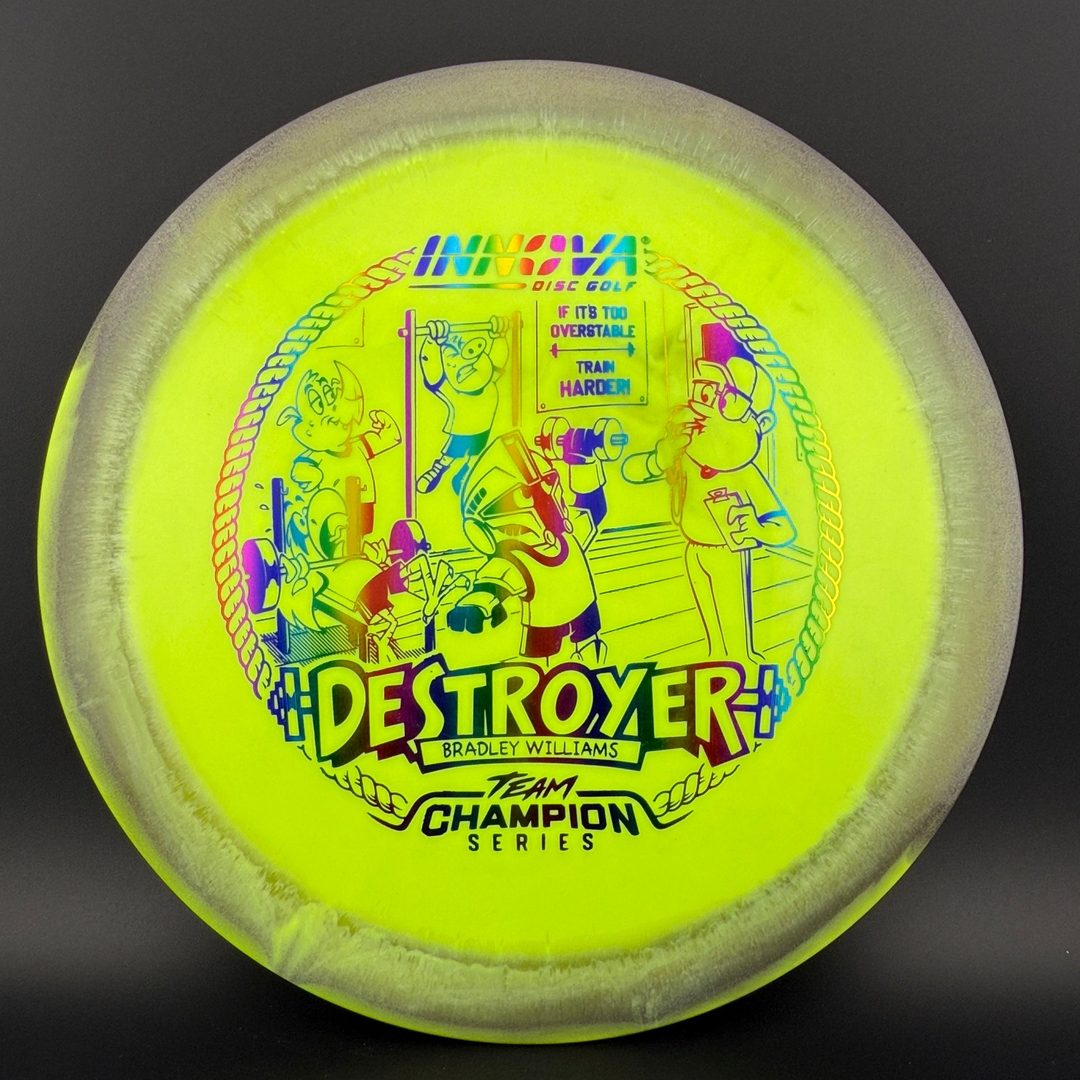Halo Star Destroyer - Baby Destroyer - PDGA Masters Bradley Williams Innova