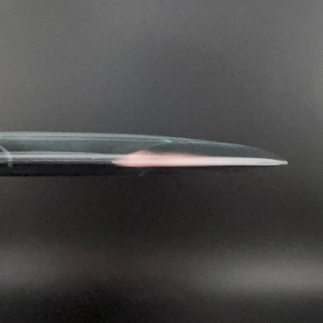 Proto Glow Halo Star Mamba - Juliana Korver 2026 Tour Series Innova