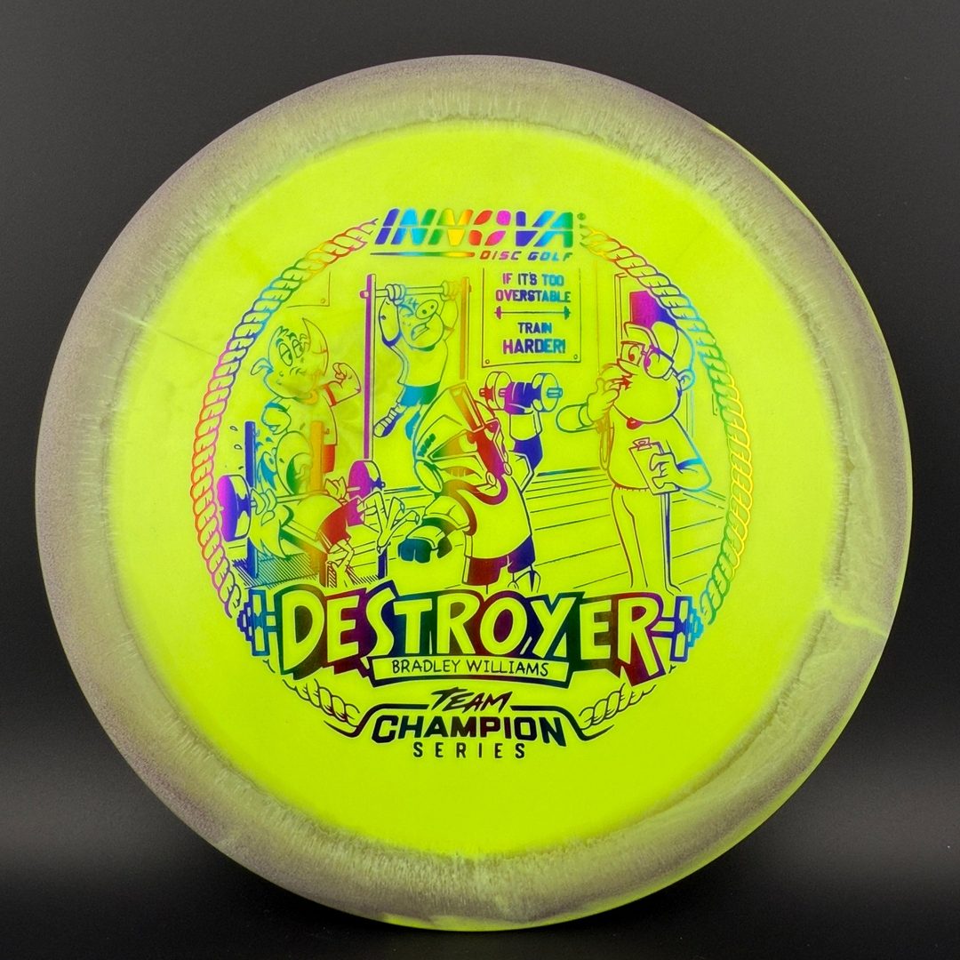 Halo Star Destroyer - Baby Destroyer - PDGA Masters Bradley Williams Innova