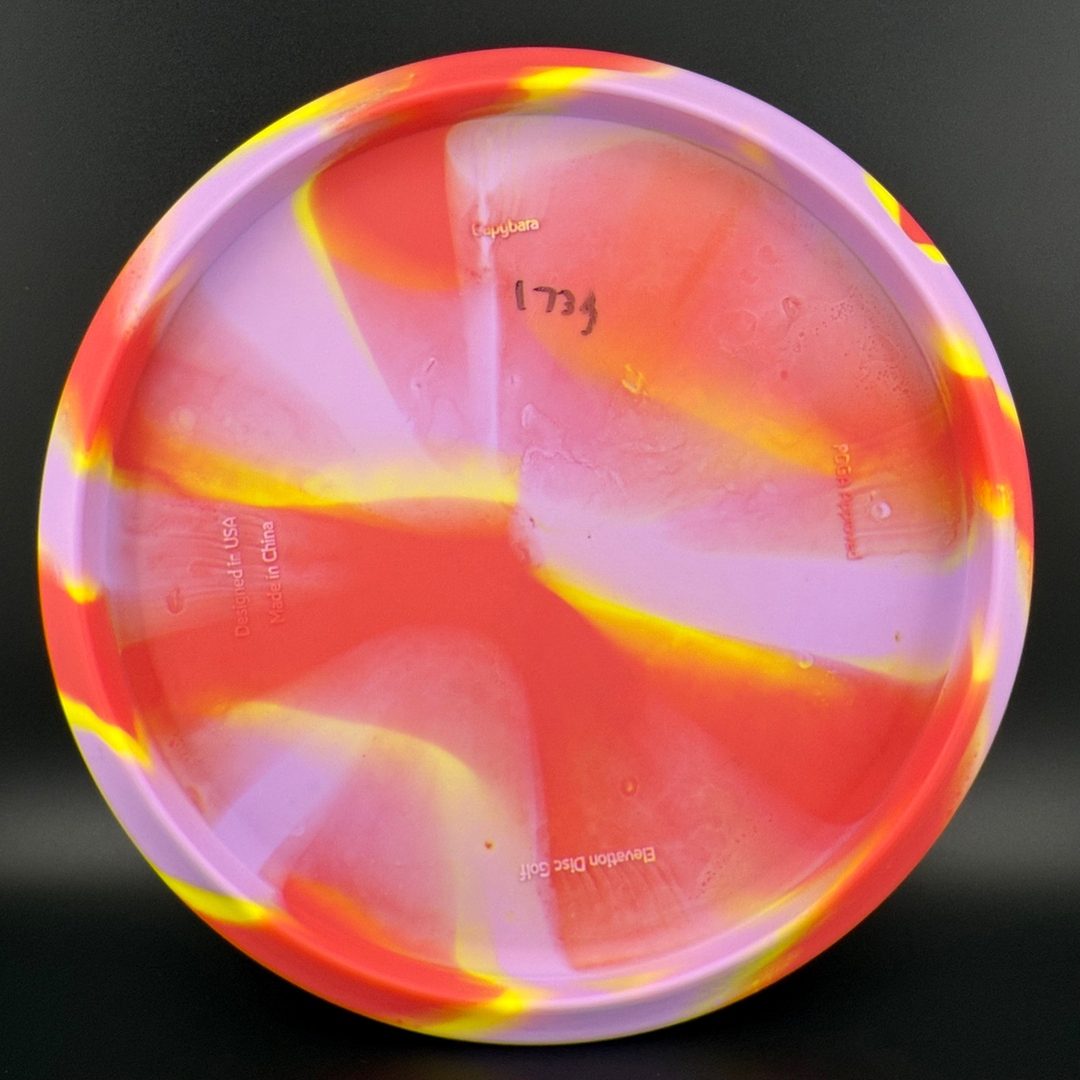 OG Capybara - Clownybara Elevation