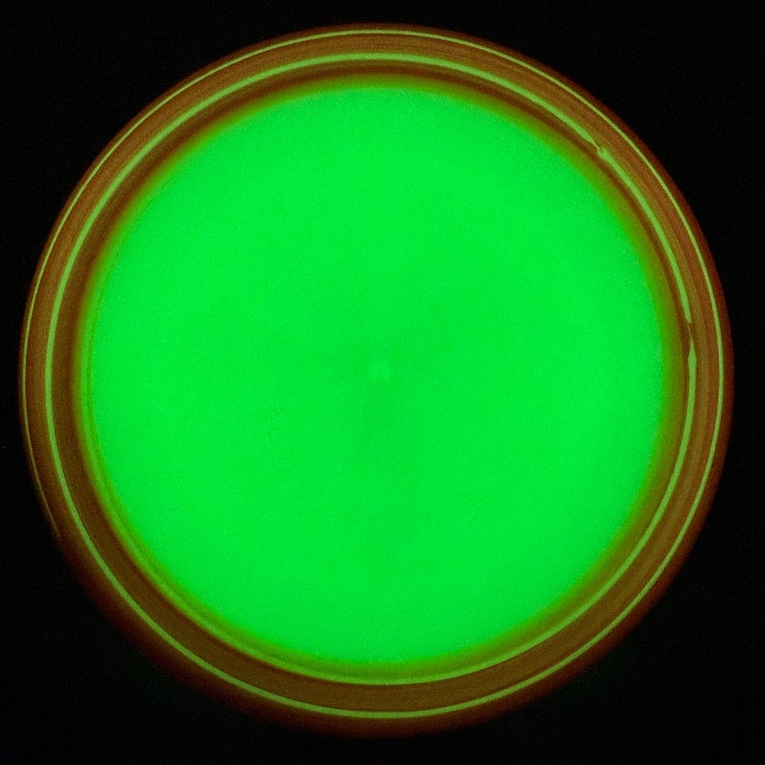 K1 Glow Berg - Spin Dyed - Dojo Designs Kastaplast