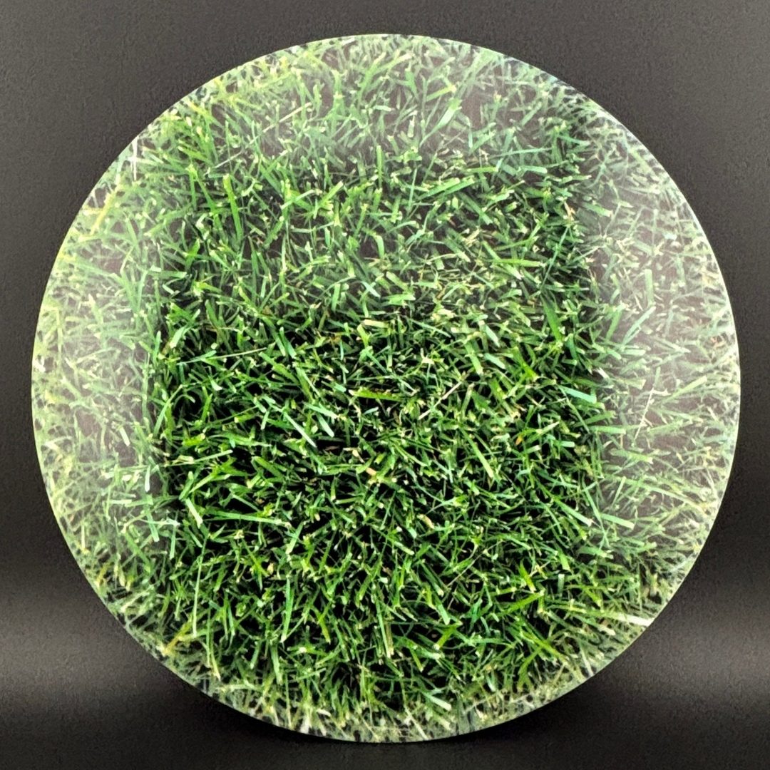 Fuzion Heist - DyeMax - Green Grass - April Fools Dynamic Discs