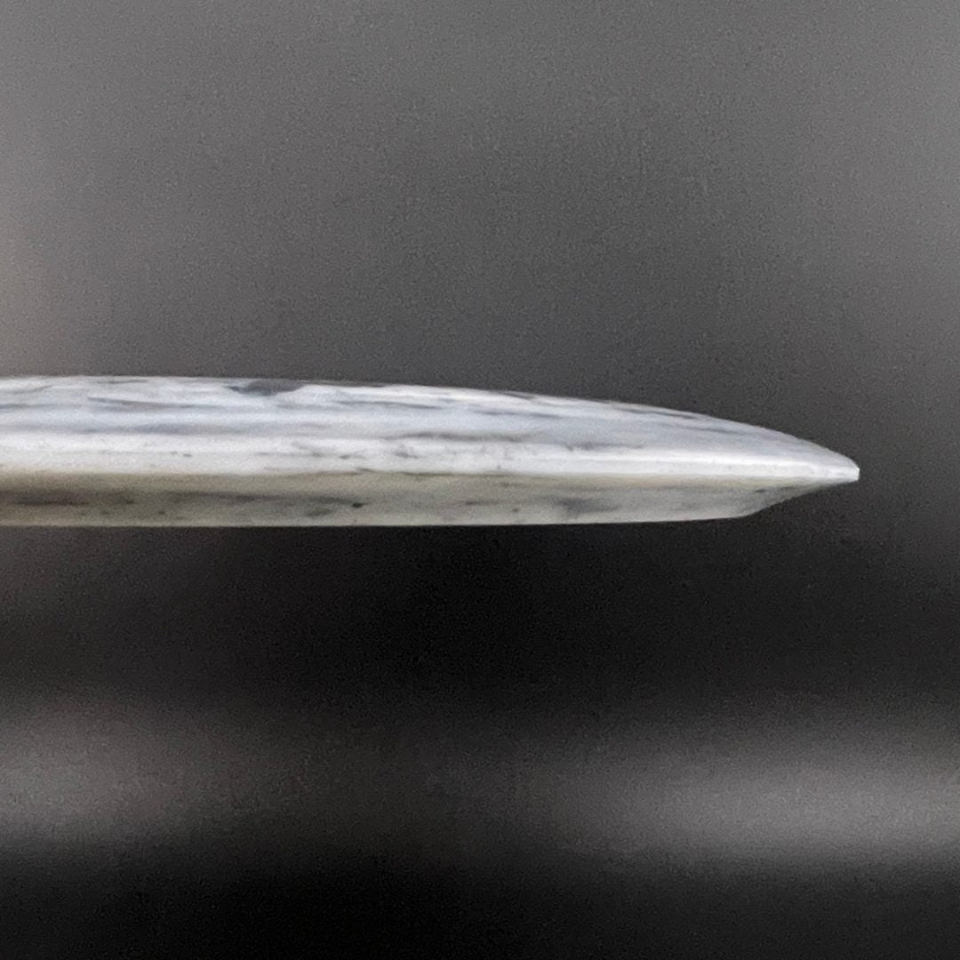 Radioactive Waste Blackout Doomsday Discs