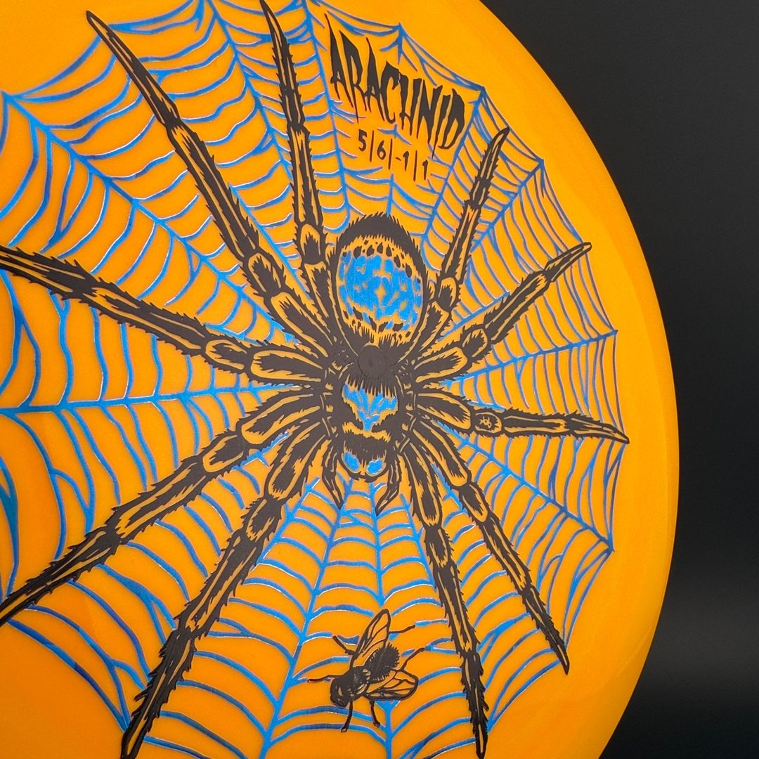 Star Arachnid - Decawolf by Kelly Baber Innova