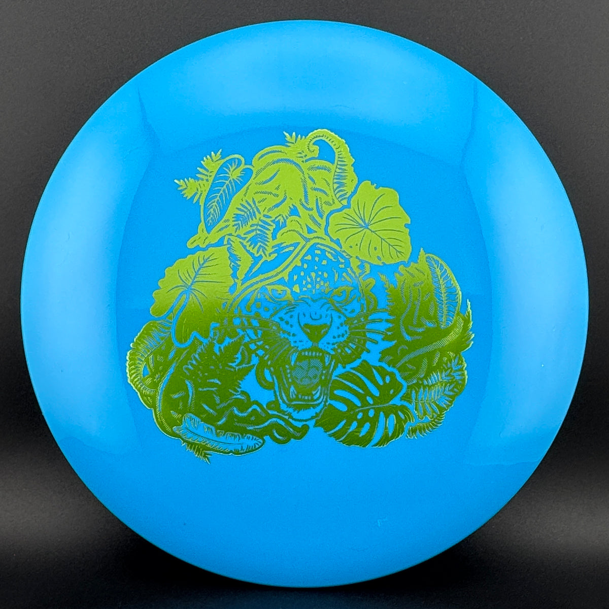 Echo Star Leopard3 Innova