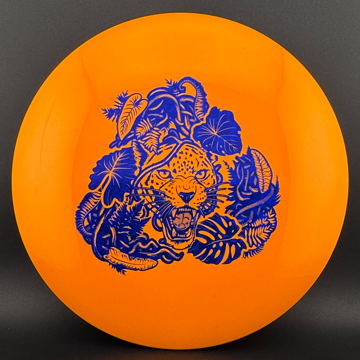 Echo Star Leopard3 Innova