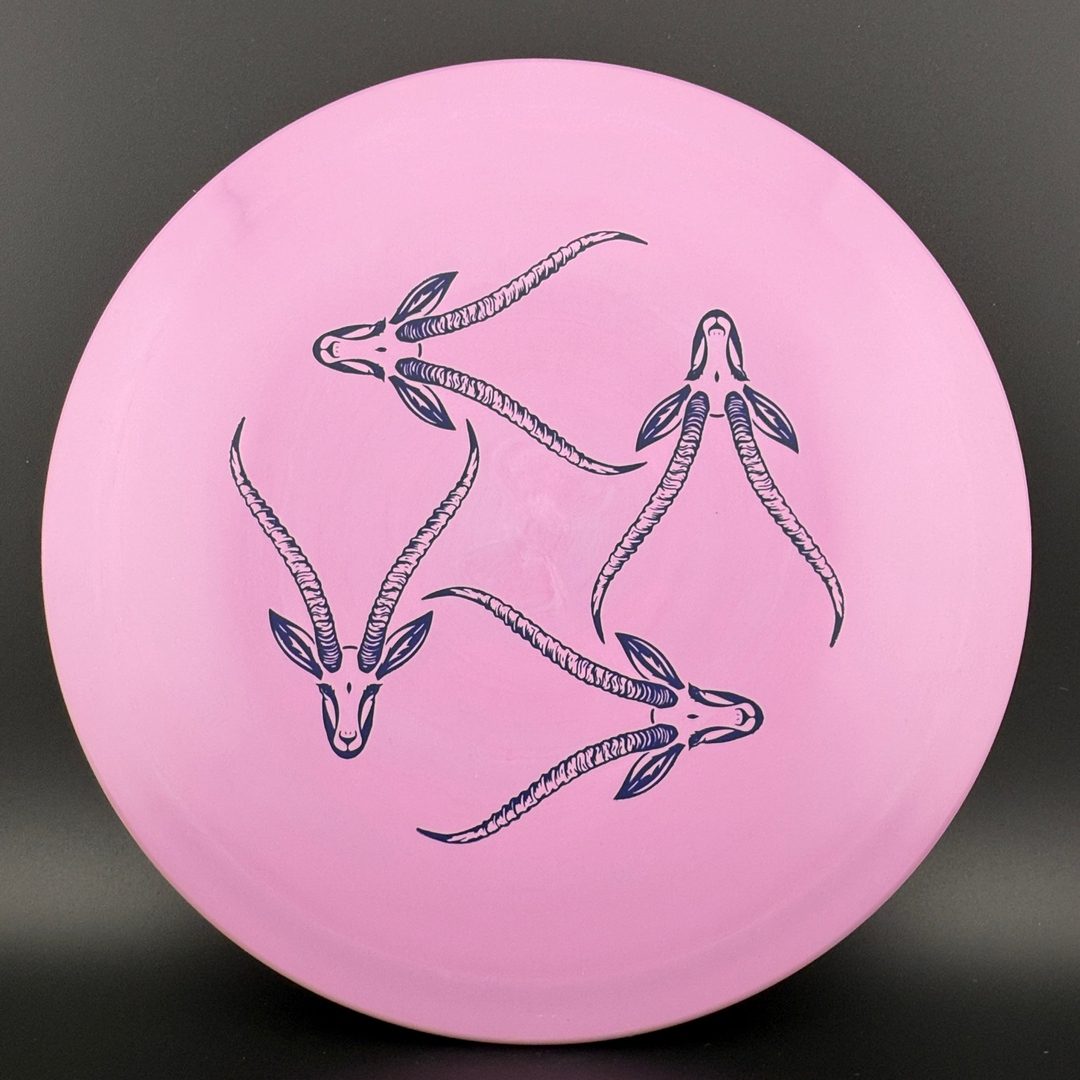Star Gazelle - Limited Edition Innova