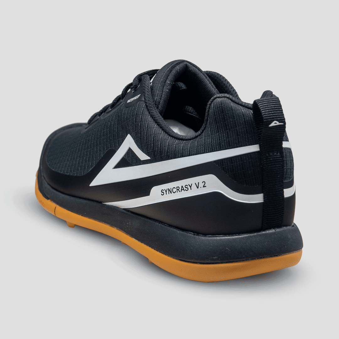 Syncrasy V2 Idio sports